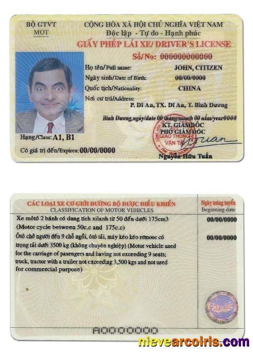 Vietnam driving license